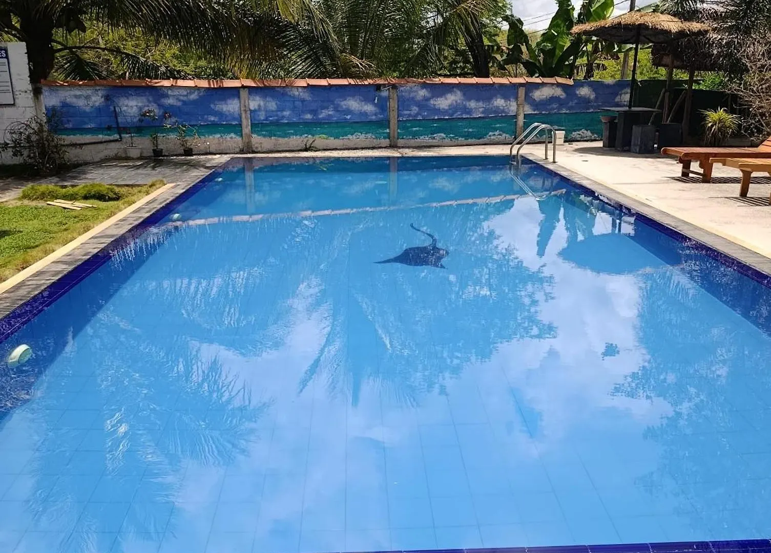 סיגירייה Amelia Resort