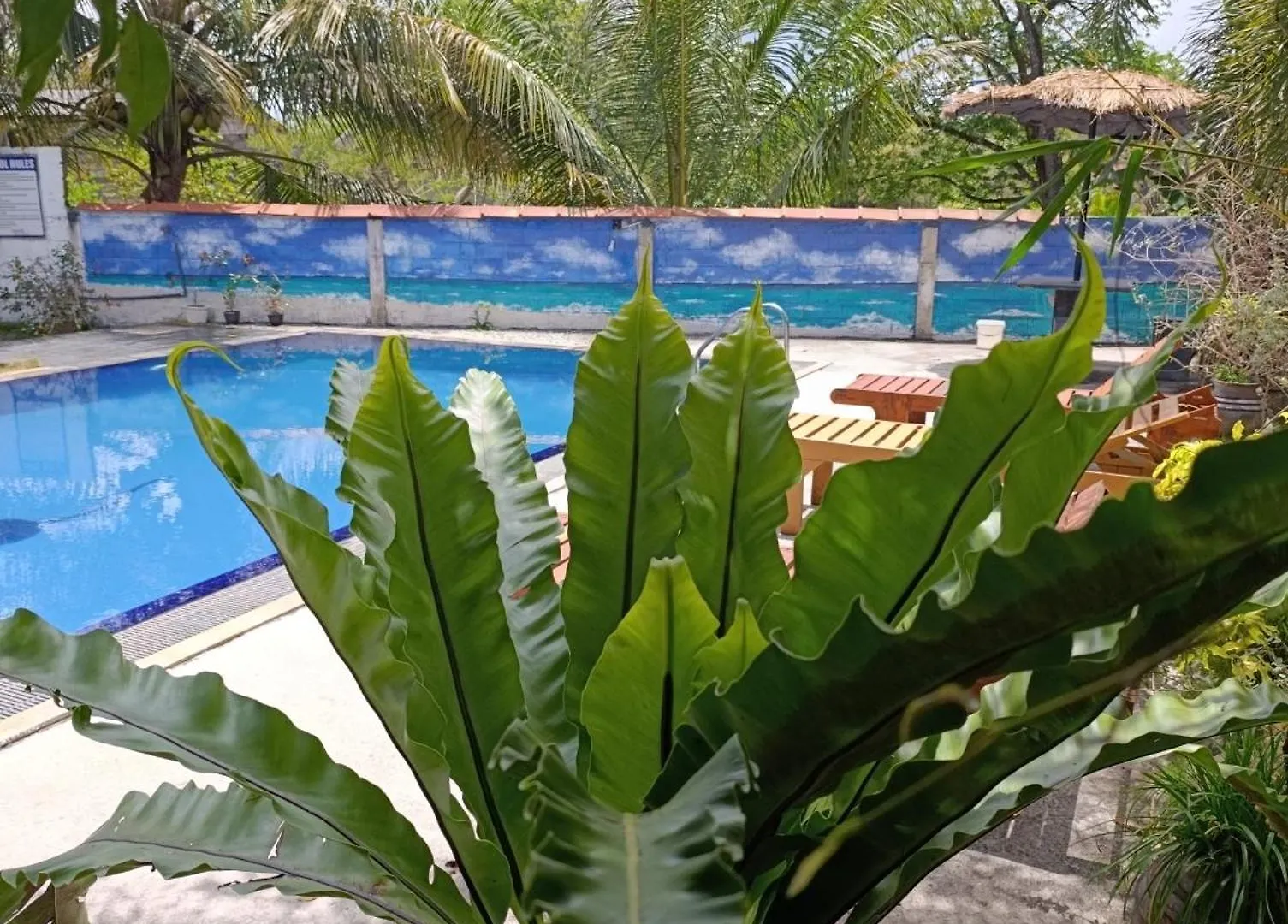 Amelia Resort Сигирия 4*,